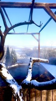 Яблунева садиба, приватна садиба фото