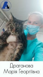 Айболит, ветеринарная клиника фото