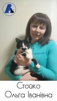 Айболит, ветеринарная клиника фото