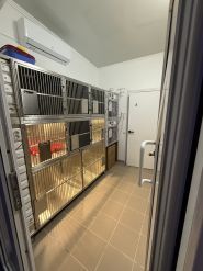 Druzi Vet, ветеринарна клініка фото