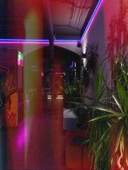 Vice city, барбершоп фото