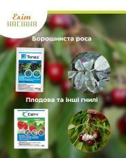 Еліт насіння, магазин насіння фото