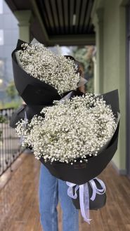 Troyanda flowers, мережа магазинів квітів фото