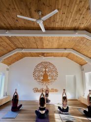 Бодхисаттва, студия йоги фото