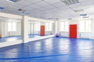 Silver Studio, школа гимнастики для детей фото
