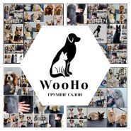 WooHo, грумінг салон фото