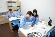 Logos School, частная школа фото