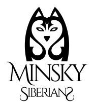 Minsky siberians, розплідник хаскі фото