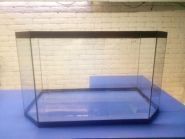 Worldfish, магазин для акваріумістів фото