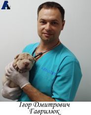 Айболит, ветеринарна клініка фото