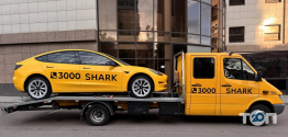 Shark Taxi фото