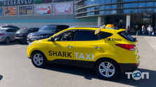 Shark Taxi фото