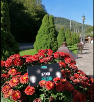 A-Taxi, служба таксі фото