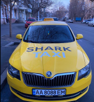 Shark Taxi фото