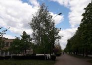 Криворожский государственный коммерческо-экономический техникум фото