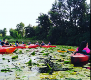 Веслотур, екскурсії на каяках фото