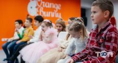 Orange bunny, дитячий центр розвитку фото