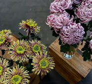 Kvitna, доставка квітів фото