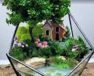 Флорариумы Magic Gardens, цветочный магазин фото