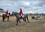 Конный клуб Арион, спортивная школа фото