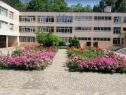 Школа №15 Владимира Дроника фото