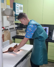 Звірятко, мережа ветеринарних клінік фото