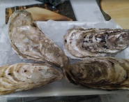 Дон-Маре, рибний магазин фото