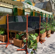 Felicita, ресторан фото