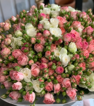 Лаванда, магазин квітів фото