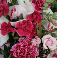 Мальви, квітковий магазин фото