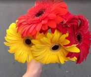 Квiткова крамниця фото