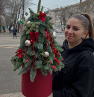 Світ рослин, квіти, рослини опто в роздріб, садовий декор фото