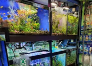 Ветеринарна Немо, ветеринарна клініка фото