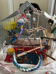 Екоцентр Локес, ветеринарна клініка фото