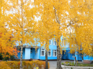 Детское учебное заведение №8 фото