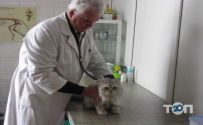 Ветеринарна клініка доктора Бугаєва фото