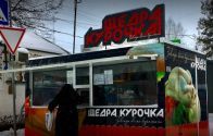 Щедра курочка, мережа магазинів фото