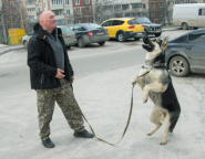 Train Your Dog, кинологический центр фото