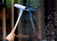 Єнот, клінінгова компанія фото