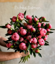 Kvitna, доставка квітів фото