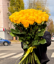 Світ рослин, квіти, рослини опто в роздріб, садовий декор фото