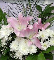 Ромашка, магазин квітів фото