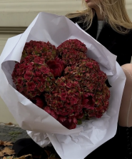 Місіс Норіс, магазин квітів фото