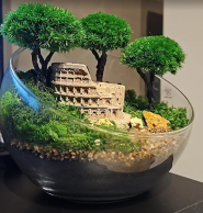 Флорариумы Magic Gardens, цветочный магазин фото