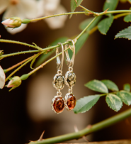 Янтарь Полесья фото