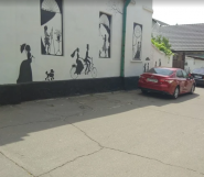 Ветеринарна допомога на провулку Санаторний фото