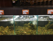 Beer РАКИ, пивний магазин фото