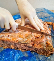 7 гастроном фото