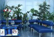 Ескулап, стоматологія фото