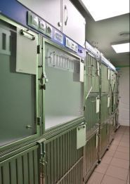 Чотири лапи, ветеринарна клініка фото